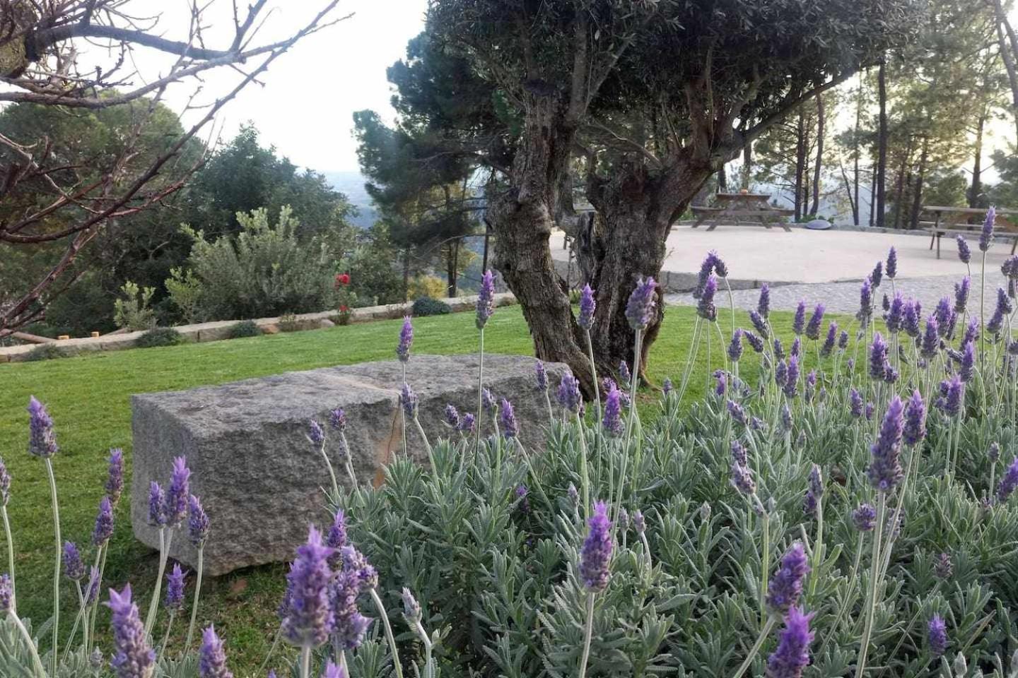 Villa Quinta Da Idalina Monchique Zimmer foto